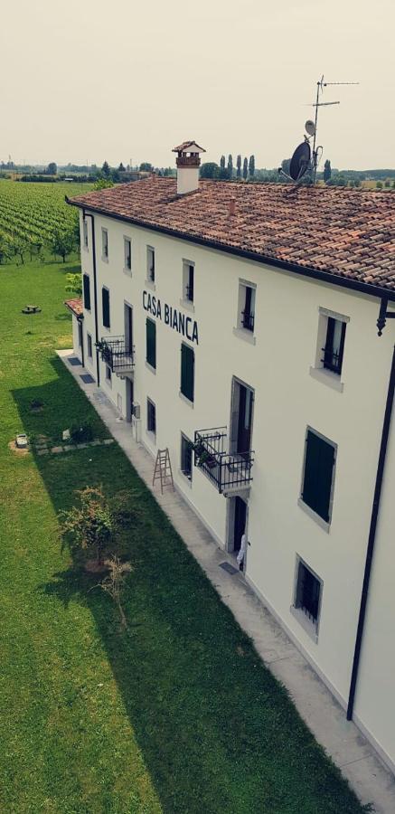 Willa Agriturismo Mulino Delle Tolle Bagnario Arsa Zewnętrze zdjęcie