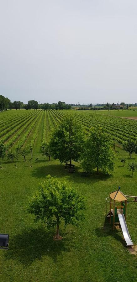 Willa Agriturismo Mulino Delle Tolle Bagnario Arsa Zewnętrze zdjęcie